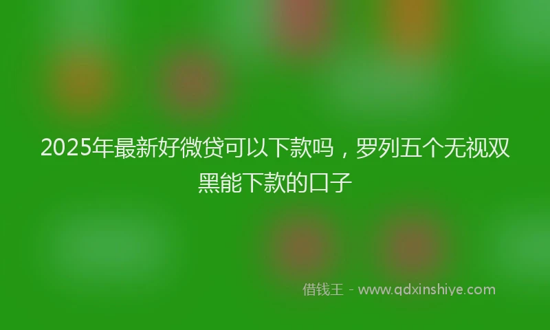 2025年最新好微贷可以下款吗，罗列五个无视双黑能下款的口子