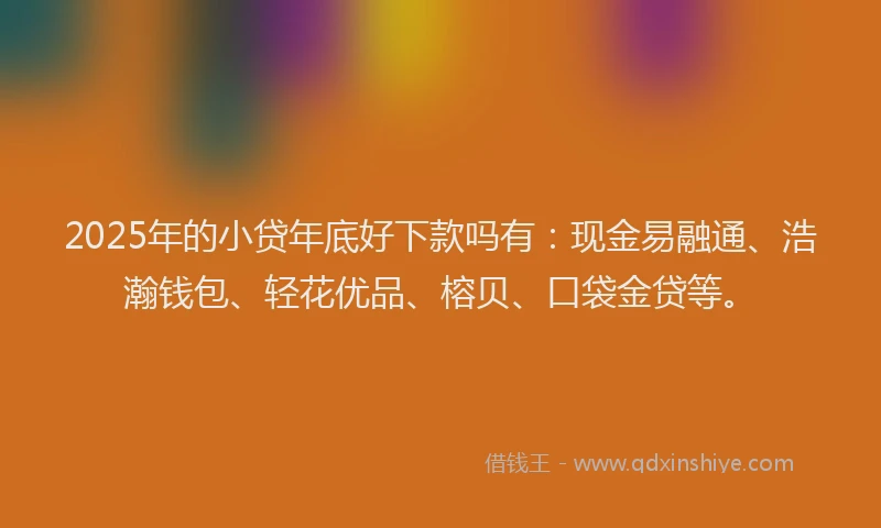 2025年的小贷年底好下款吗有：现金易融通、浩瀚钱包、轻花优品、榕贝、口袋金贷等。