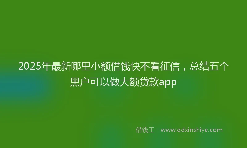 2025年最新哪里小额借钱快不看征信，总结五个黑户可以做大额贷款app