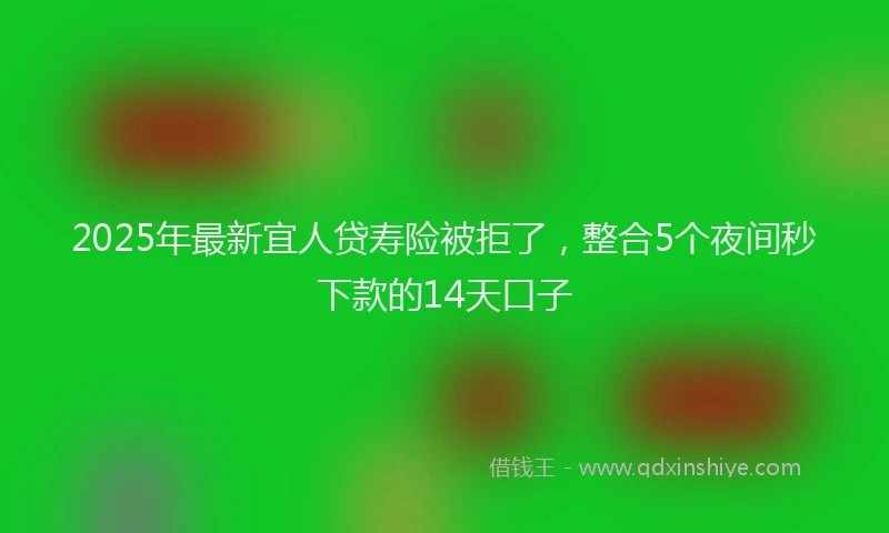 2025年最新宜人贷寿险被拒了，整合5个夜间秒下款的14天口子