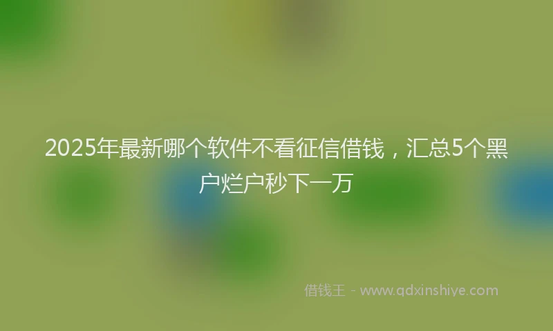 2025年最新哪个软件不看征信借钱，汇总5个黑户烂户秒下一万