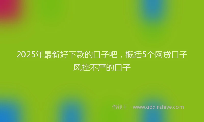 2025年最新好下款的口子吧，概括5个网贷口子风控不严的口子