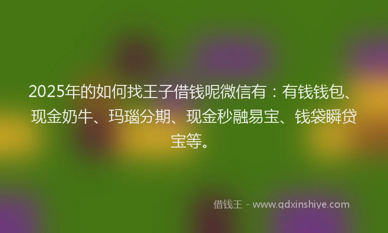 2025年的如何找王子借钱呢微信有：有钱钱包、现金奶牛、玛瑙分期、现金秒融易宝、钱袋瞬贷宝等。