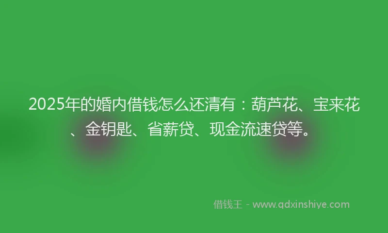 2025年的婚内借钱怎么还清有：葫芦花、宝来花、金钥匙、省薪贷、现金流速贷等。