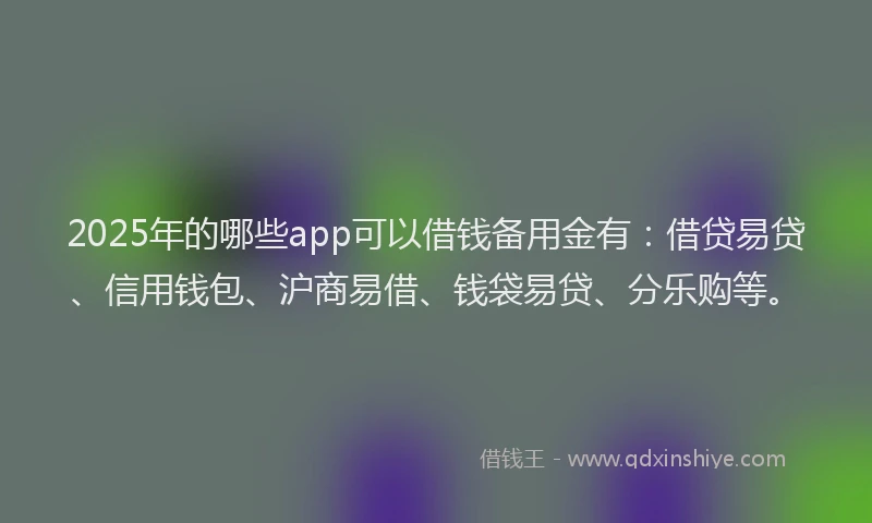 2025年的哪些app可以借钱备用金有：借贷易贷、信用钱包、沪商易借、钱袋易贷、分乐购等。