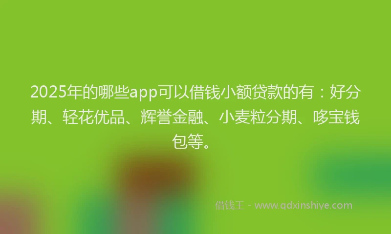 2025年的哪些app可以借钱小额贷款的有：好分期、轻花优品、辉誉金融、小麦粒分期、哆宝钱包等。