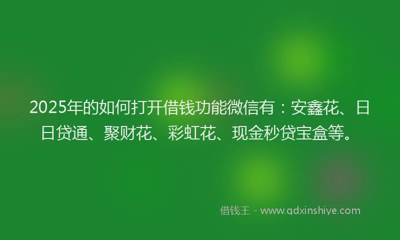 2025年的如何打开借钱功能微信有：安鑫花、日日贷通、聚财花、彩虹花、现金秒贷宝盒等。