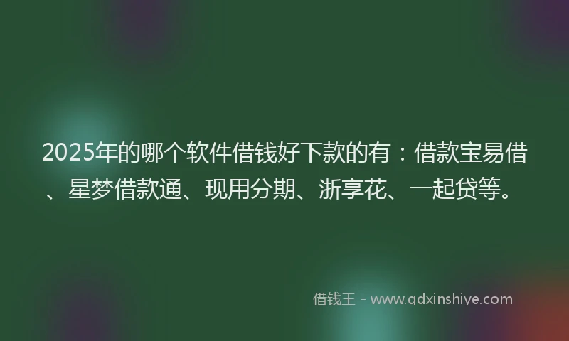 2025年的哪个软件借钱好下款的有：借款宝易借、星梦借款通、现用分期、浙享花、一起贷等。