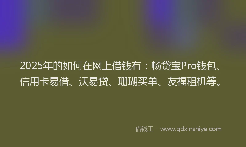 2025年的如何在网上借钱有：畅贷宝Pro钱包、信用卡易借、沃易贷、珊瑚买单、友福租机等。