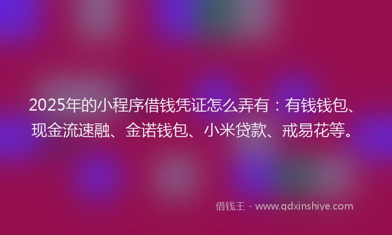 2025年的小程序借钱凭证怎么弄有：有钱钱包、现金流速融、金诺钱包、小米贷款、戒易花等。