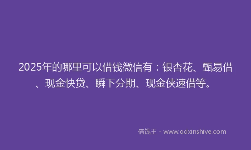 2025年的哪里可以借钱微信有：银杏花、甄易借、现金快贷、瞬下分期、现金侠速借等。