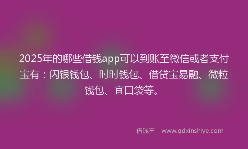 2025年的哪些借钱app可以到账至微信或者支付宝有：闪银钱包、时时钱包、借贷宝易融、微粒钱包、宜口袋等。