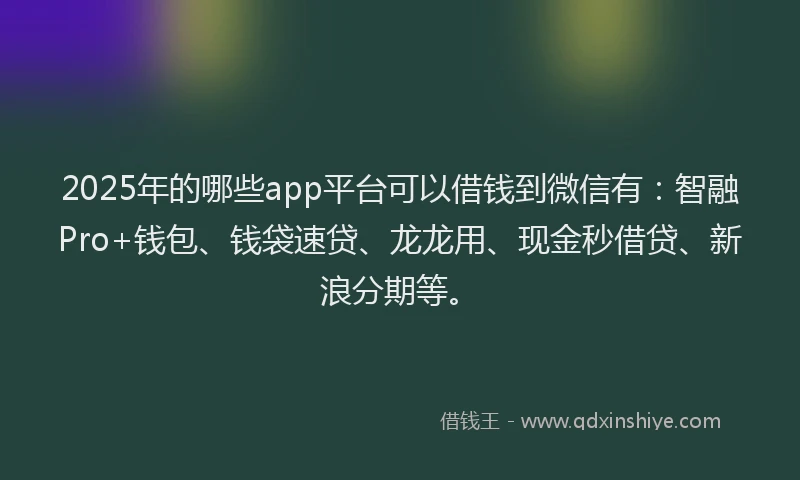 2025年的哪些app平台可以借钱到微信有：智融Pro+钱包、钱袋速贷、龙龙用、现金秒借贷、新浪分期等。