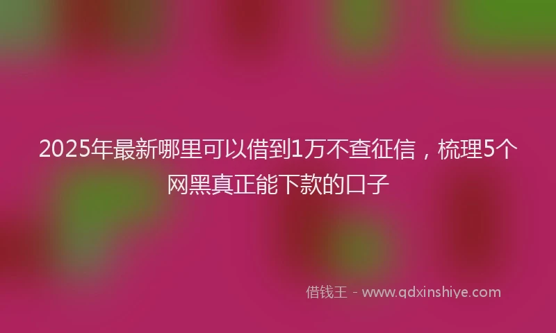 2025年最新哪里可以借到1万不查征信，梳理5个网黑真正能下款的口子