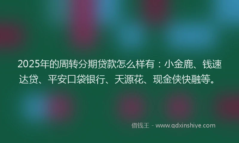 2025年的周转分期贷款怎么样有：小金鹿、钱速达贷、平安口袋银行、天源花、现金侠快融等。