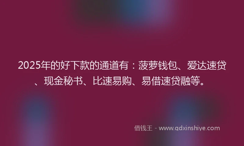 2025年的好下款的通道有：菠萝钱包、爱达速贷、现金秘书、比速易购、易借速贷融等。