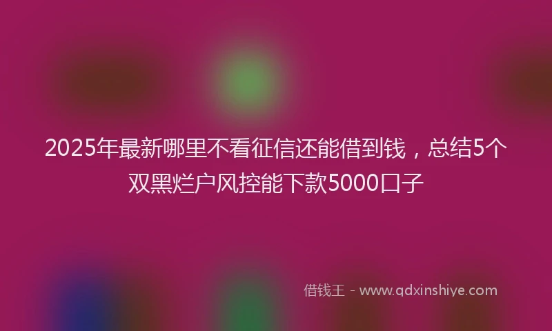 2025年最新哪里不看征信还能借到钱，总结5个双黑烂户风控能下款5000口子
