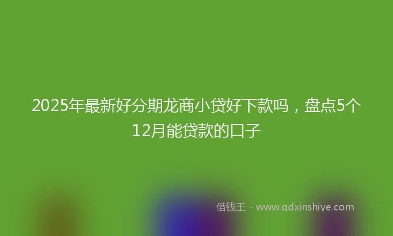 2025年最新好分期龙商小贷好下款吗，盘点5个12月能贷款的口子