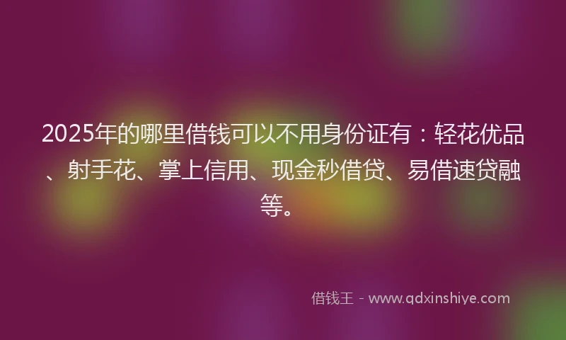 2025年的哪里借钱可以不用身份证有：轻花优品、射手花、掌上信用、现金秒借贷、易借速贷融等。
