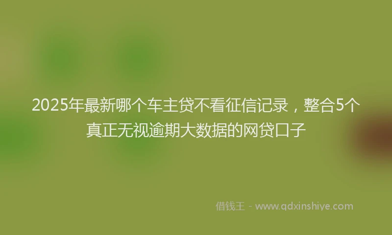 2025年最新哪个车主贷不看征信记录，整合5个真正无视逾期大数据的网贷口子