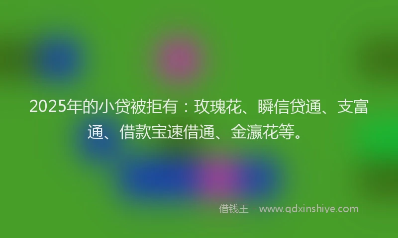 2025年的小贷被拒有：玫瑰花、瞬信贷通、支富通、借款宝速借通、金瀛花等。