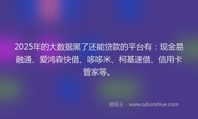 2025年的大数据黑了还能贷款的平台有：现金易融通、爱鸿森快借、哆哆米、柯基速借、信用卡管家等。