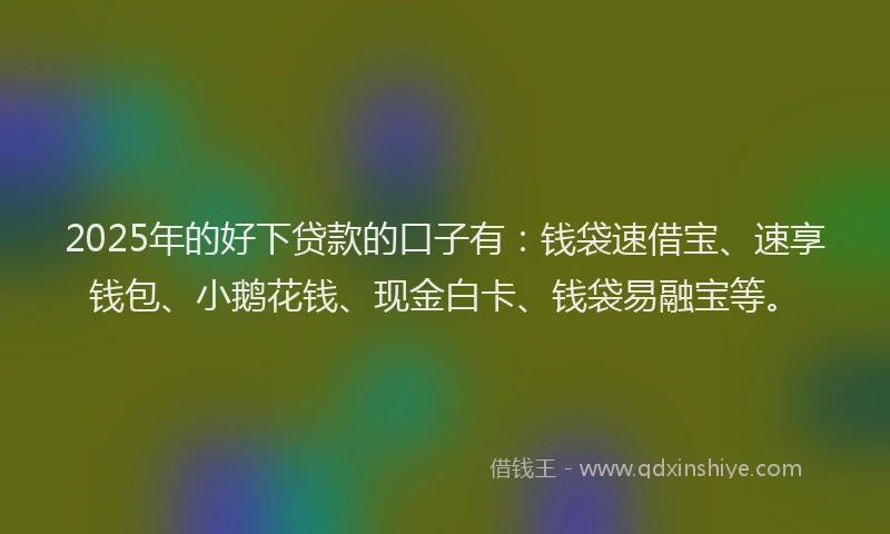 2025年的好下贷款的口子有：钱袋速借宝、速享钱包、小鹅花钱、现金白卡、钱袋易融宝等。