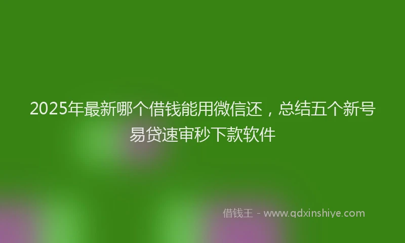2025年最新哪个借钱能用微信还，总结五个新号易贷速审秒下款软件