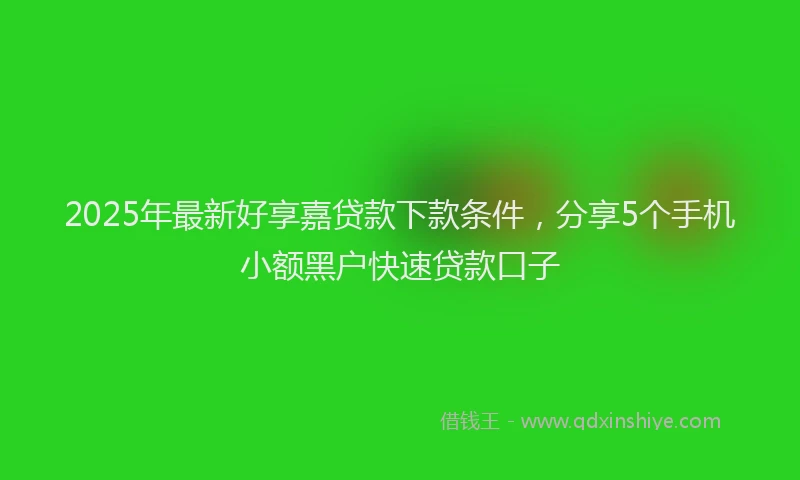 2025年最新好享嘉贷款下款条件，分享5个手机小额黑户快速贷款口子
