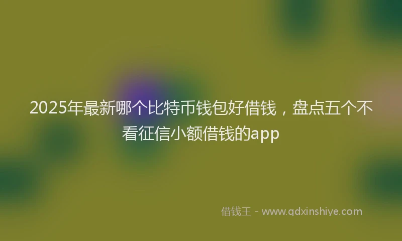 2025年最新哪个比特币钱包好借钱，盘点五个不看征信小额借钱的app