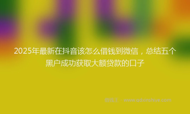 2025年最新在抖音该怎么借钱到微信，总结五个黑户成功获取大额贷款的口子