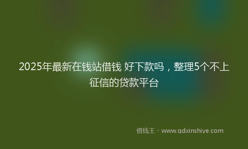2025年最新在钱站借钱 好下款吗，整理5个不上征信的贷款平台