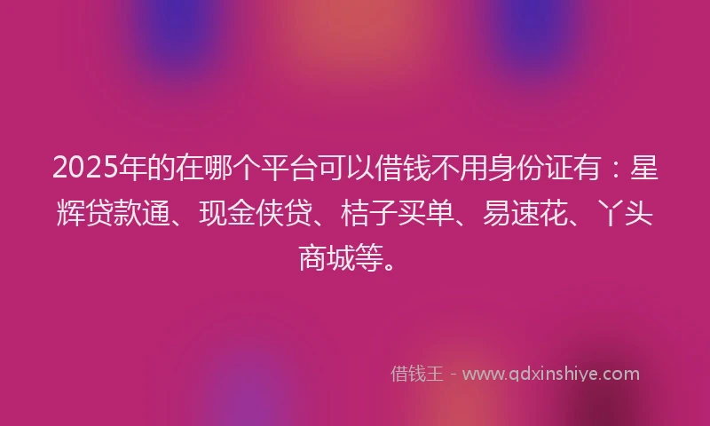 2025年的在哪个平台可以借钱不用身份证有：星辉贷款通、现金侠贷、桔子买单、易速花、丫头商城等。