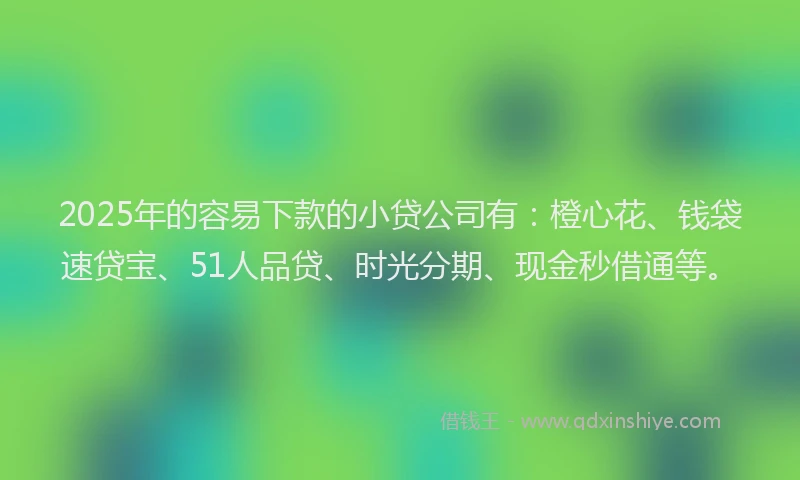 2025年的容易下款的小贷公司有:橙心花、钱袋速贷宝、51人品贷、时光分期、现金秒借通等。