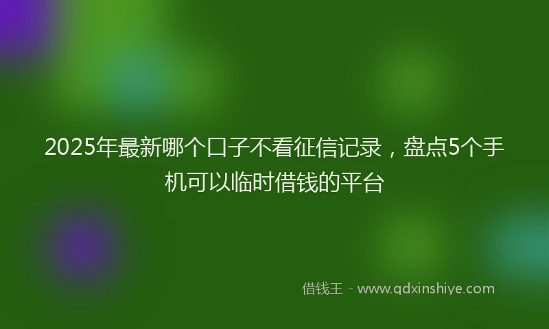 2025年最新哪个口子不看征信记录，盘点5个手机可以临时借钱的平台