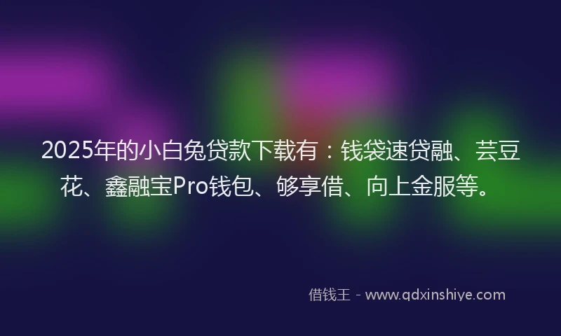 2025年的小白兔贷款下载有：钱袋速贷融、芸豆花、鑫融宝Pro钱包、够享借、向上金服等。