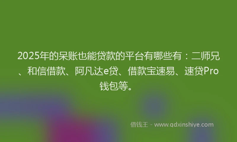 2025年的呆账也能贷款的平台有哪些有：二师兄、和信借款、阿凡达e贷、借款宝速易、速贷Pro钱包等。