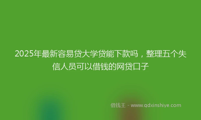 2025年最新容易贷大学贷能下款吗，整理五个失信人员可以借钱的网贷口子