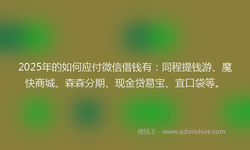 2025年的如何应付微信借钱有：同程提钱游、魔快商城、森森分期、现金贷易宝、宜口袋等。