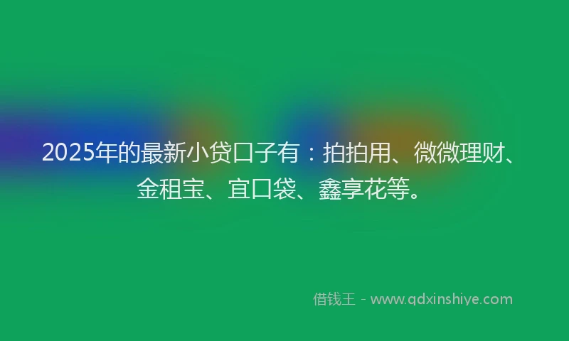 2025年的最新小贷口子有：拍拍用、微微理财、金租宝、宜口袋、鑫享花等。
