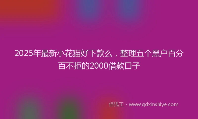2025年最新小花猫好下款么，整理五个黑户百分百不拒的2000借款口子