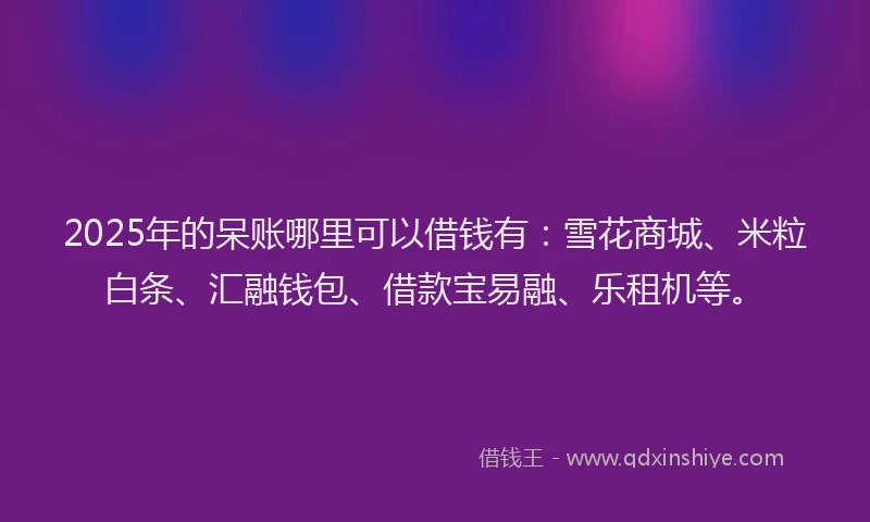 2025年的呆账哪里可以借钱有：雪花商城、米粒白条、汇融钱包、借款宝易融、乐租机等。