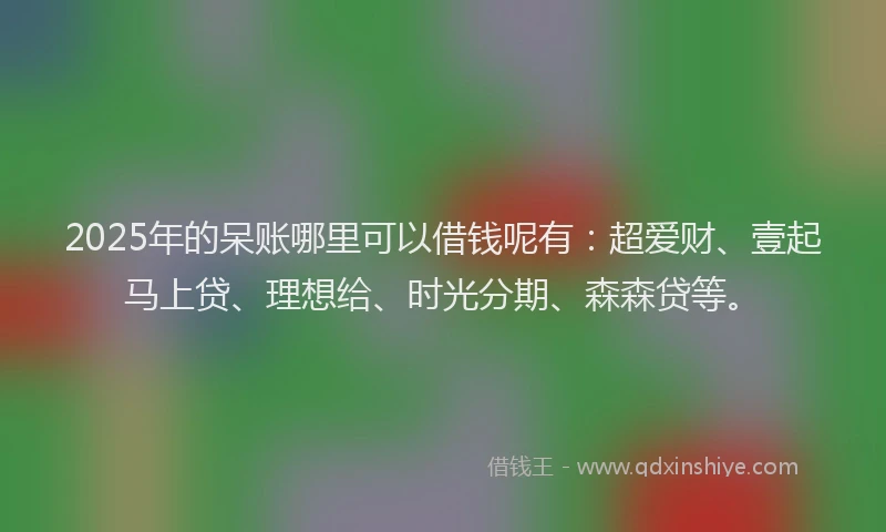 2025年的呆账哪里可以借钱呢有：超爱财、壹起马上贷、理想给、时光分期、森森贷等。