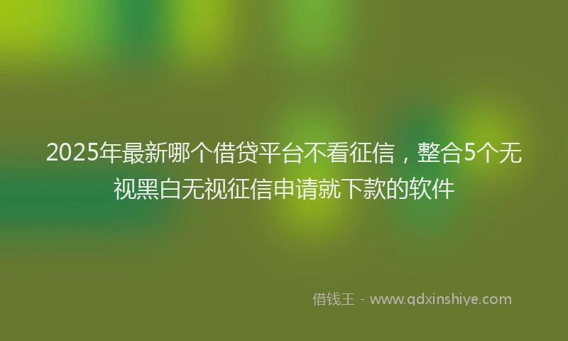 2025年最新哪个借贷平台不看征信，整合5个无视黑白无视征信申请就下款的软件