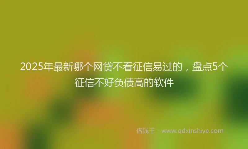 2025年最新哪个网贷不看征信易过的，盘点5个征信不好负债高的软件