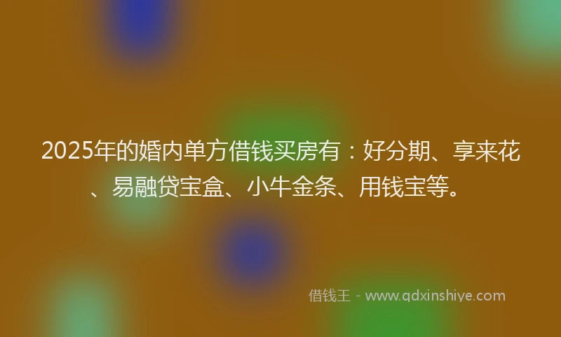 2025年的婚内单方借钱买房有：好分期、享来花、易融贷宝盒、小牛金条、用钱宝等。