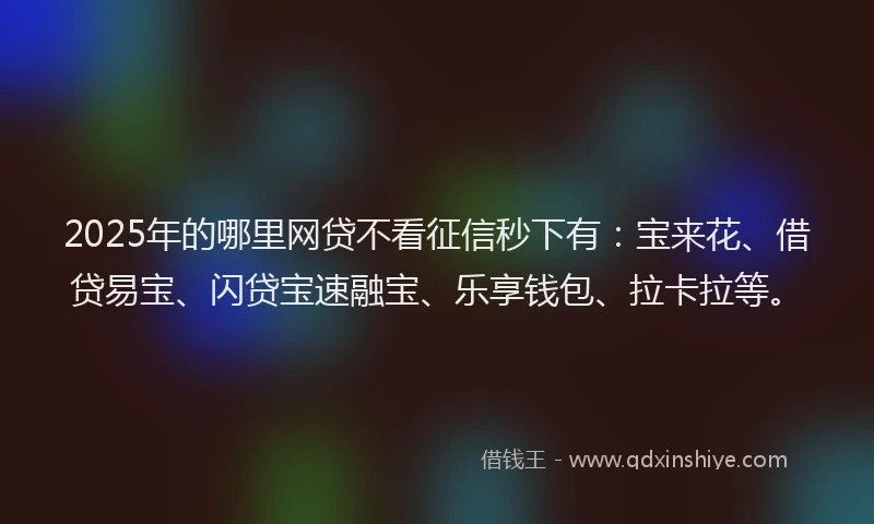 2025年的哪里网贷不看征信秒下有：宝来花、借贷易宝、闪贷宝速融宝、乐享钱包、拉卡拉等。