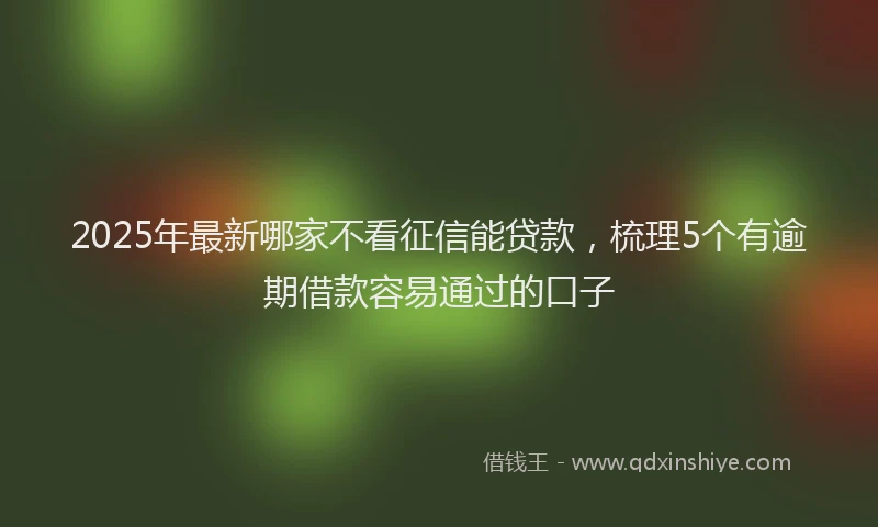 2025年最新哪家不看征信能贷款，梳理5个有逾期借款容易通过的口子