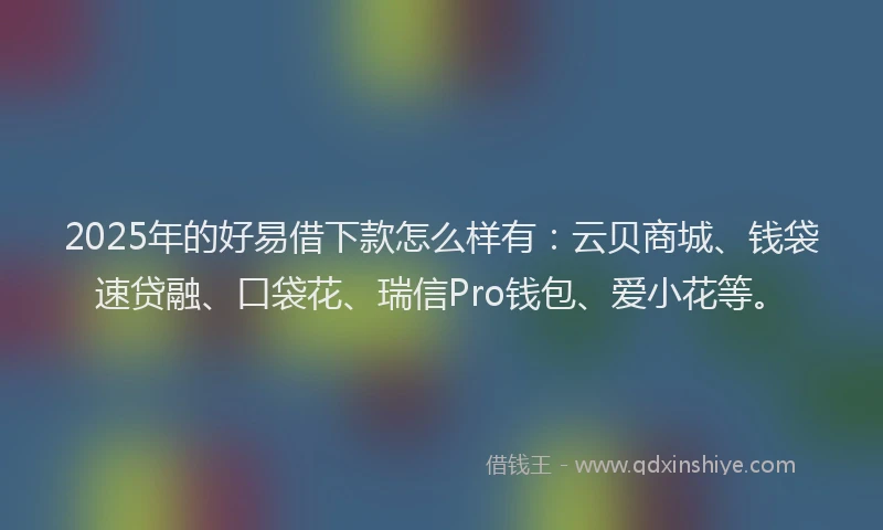 2025年的好易借下款怎么样有：云贝商城、钱袋速贷融、口袋花、瑞信Pro钱包、爱小花等。