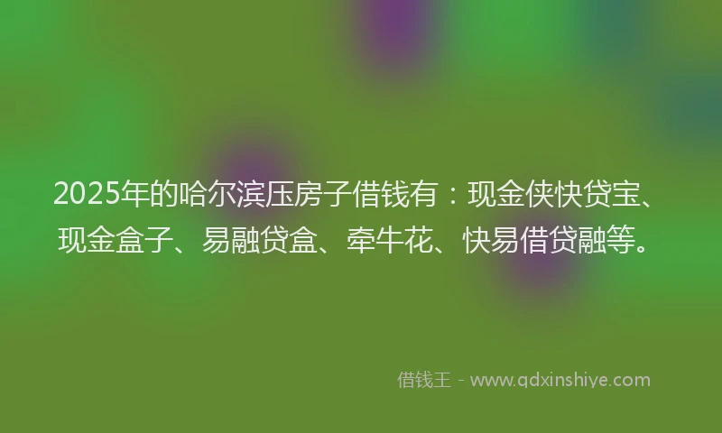 2025年的哈尔滨压房子借钱有：现金侠快贷宝、现金盒子、易融贷盒、牵牛花、快易借贷融等。